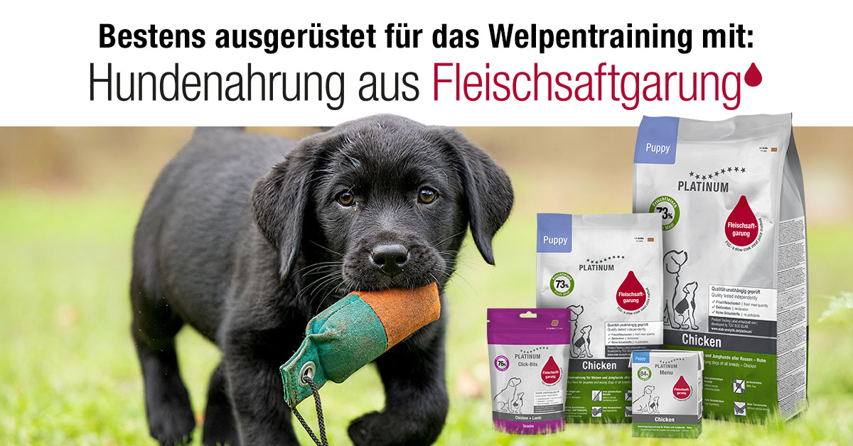 Platinum Hundefutter