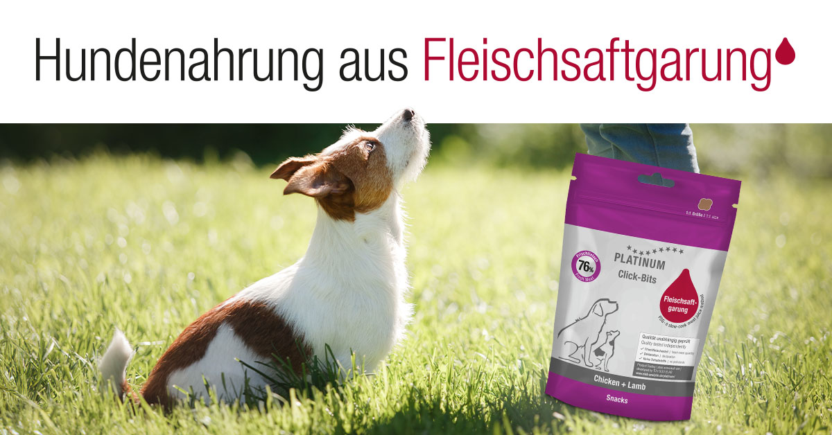 Platinum Hundefutter